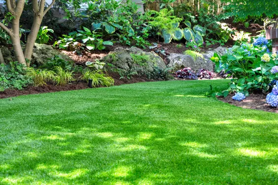 Reputable Backyard Landscaping Sedona AZ